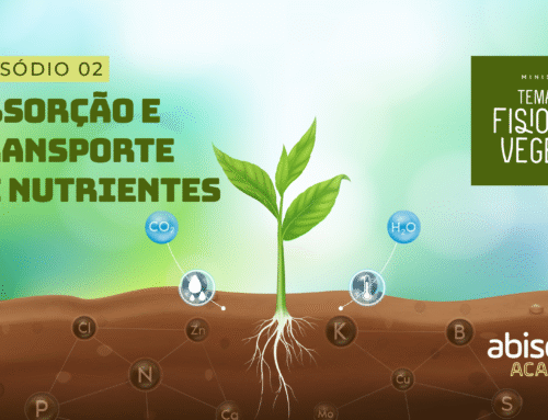 ABSORÇÃO E TRANSPORTE DE NUTRIENTES (ep 02) / Minissérie: Temas em Fisiologia Vegetal